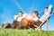 Group of handsome businessmen relaxing and talking about life while sitting on folding chair at park