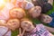 A group of happy children are lying in the park on the green grass and smiling. The concept of summer and happy childhood.