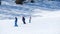 Group of happy family snowboarder is riding with snowboard from hill or mountain