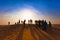 Group of happy people silhouettes in the desert