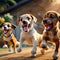 group of happy puppy dog playing
