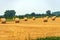 Group of Hay Bales on a Sunny Summer Day - Padan Plain Italy