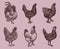 Group of hens and cocks of different chicken breeds isolated on a pale pink background