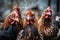 A group of hens and roosters looks at the camera. Generative AI