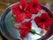 Group of hibiscus floral