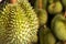 Group of High Quality Beautiful Durian Ripe in the Market