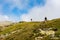 Group of hikers ascending top of Pietrosul Rodnei mountain. Mountain ridge slopes of Rodna Mountains National Park multiday hike,