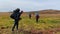 A group of hikers with backpacks and trekking poles cross a small swamp over bumps.