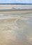 Group of hikers in the bay at low tide. Hike in the bay with a knowledgeable guide. Mont Saint-Michel