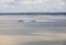 Group of hikers in the bay at low tide. Hike in the bay with a knowledgeable guide. Mont Saint-Michel