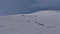 Group of hikers following the tracks in the snow on the top of Edith Cavell Meadows Trail in Jasper National Park, Canada.