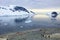 Group of hikers with gentoo penguins around, Antarctic Peninsula