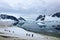 Group of hikers with gentoo penguins around, Antarctic Peninsula