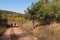 Group of hikers going on their way to the mountain