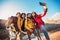 Group of hikers on a mountain at autumn day make selfie