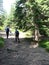 group of hikers on mountain trail in the Carpathian forest