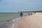 Group of hikers on the sandy coastline of Baltic sea