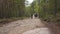 A Group of Hikers Tourists Walking On A Dirt Road Through The Forest. Hicking and Eco Tourism concept