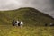 Group of hikers walking together on a grassy path toward a picturesque hillside