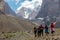 Group of Hikers Walking into Wilderness