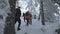 group of hikers walks in winter snowy forest, tourism, travel.