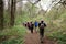 Group of hikers in the woods.