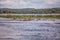 A group of hippos sitting in the water on the river Nile