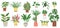 Group of home plants isolated on a white background. Collection of indoor plants in pots. Home decor. Vector illustration in flat