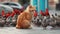 A_group_of_homeless_cats_on_the_city_1690444419126_5