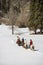 Group horseback riding.