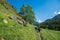 A group of horseback tourists riding along the gorge