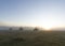 Group of horsemen in a grassy field with a foggy background during sunset