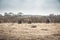 Group of hunters hiding in rural field with dry grass during hunting season in overcast day