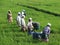 Group Indian Women in Paddy fields after tsunami