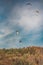 Group of individuals taking part in the thrilling recreational activity of paragliding