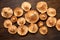 Group inverted fresh raw edible mushroom, Lactarius, on wood background. Top view,