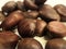 A group of isolated chestnuts
