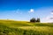 Group of italian cypresses near San Quirico dÂ´Orcia - aerial view - Beautiful landscape Scenery -  Val dâ€™Orcia, Tuscany, Italy