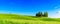 Group of italian cypresses near San Quirico dÂ´Orcia - aerial view - Beautiful landscape Scenery -  Val dâ€™Orcia, Tuscany, Italy