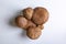 Group of jersey cow mushrooms on a white background close-up. View from above. Horizontal orientation. High quality