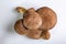 Group of jersey cow mushrooms on a white background close-up. View from above. Horizontal orientation. High quality