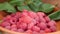 Group of juice, fresh and ripe raspberries with green leaves