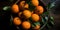 Group of juicy oranges arranged in a wooden crate, set against a dark background with a top-down view.