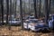 A group of junk cars in a forest off of Route 29 in Virginia