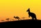 Group of kangaroos in desert, silhouette vector