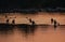 Group of  kayakers in the kayaks on the river going to kayaking at sunset