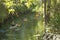 Group of kayakers on Shingle Creek in Kissimmee, Florida.