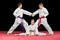 Group kids Karate martial Arts