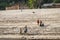 Group of kids sitting at river bank of Mekong