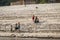 Group of kids sitting at river bank of Mekong